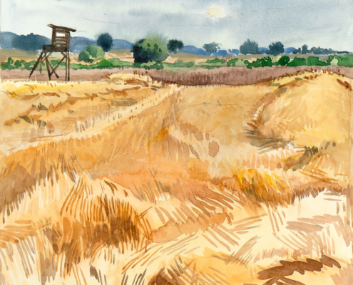Aquarell Felder